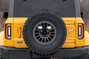 Diode Dynamics Reverse Light Kit | Ford Bronco (2021-2024)